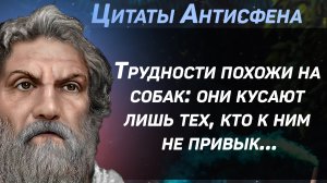 Мудрые цитаты философа Антисфена, его идеи и мысли