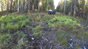 На что способен самодельный каракат? Застряли в трясине! Перегруз! Кедровый бум. Друган жгёт.