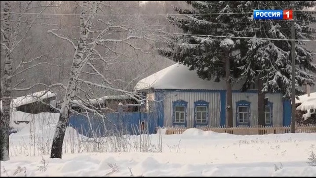 Свои 