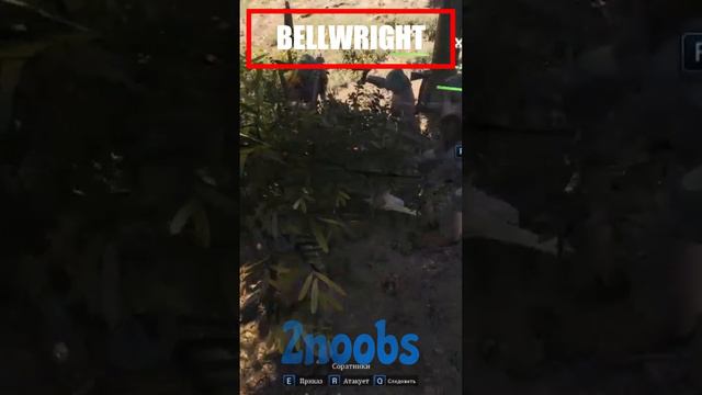 Bellwright - лесная собака