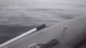 Ямаха 8 на фрегат 310