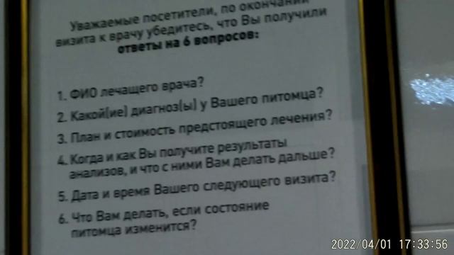 Полезная памятка для владельцев животных и птиц..mp4