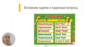 Русский язык, 8-й класс, Склонение имён существительных (1 урок)