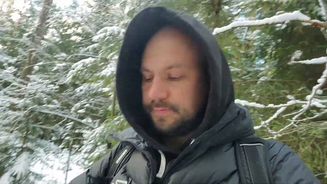 Лесная прогулка с корги Джо смотреть онлайн