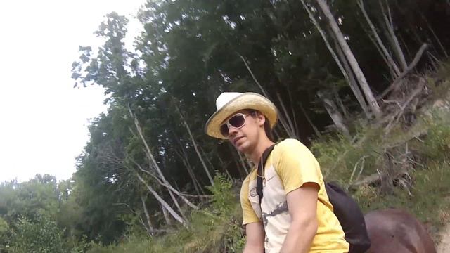 шапсугская