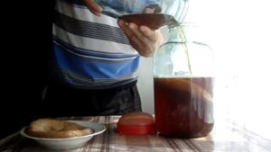 Как заваривать чайный гриб.