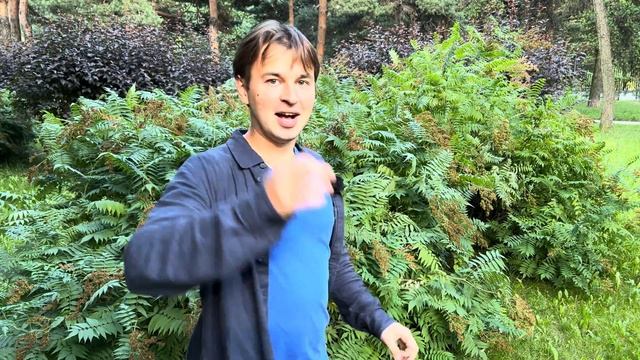 НИКОГДА НЕ САЖАЙТЕ ЭТО РАСТЕНИЕ НА УЧАСТКЕ / ПОТОМ ПОЖАЛЕЕТЕ /