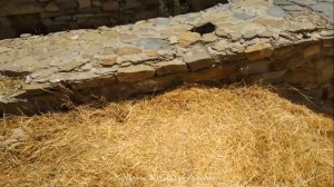 Путешествие в Хосровский заповедник