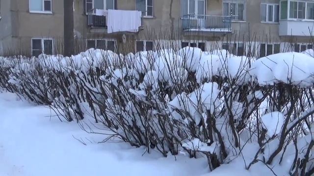 К.Дерр. Зимний праздник.