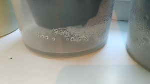 Эустома  Секреты зимовки