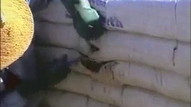 Технология строительства экодомов из мешков с землей.
