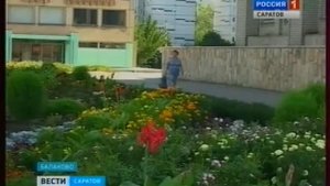 Семьи из Балаково получили судимости