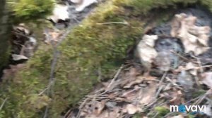 Строчки гигантские.