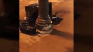 TOTAL IDIOTS AT WORK #18