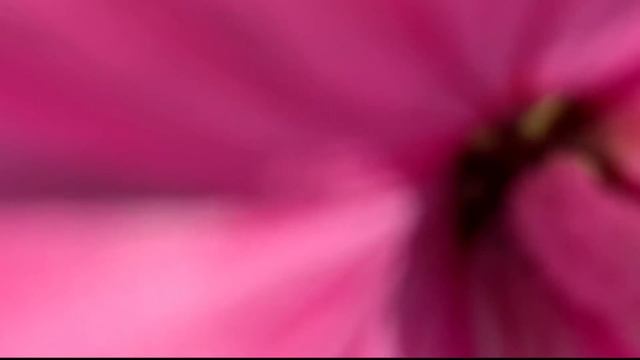 Доброй ночи? как быстро пролетели весна и лето, а уже середина осени, Октябрь смотреть онлайн