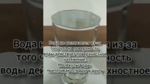 опыты по физике.  поверхностное натяжение жидкости