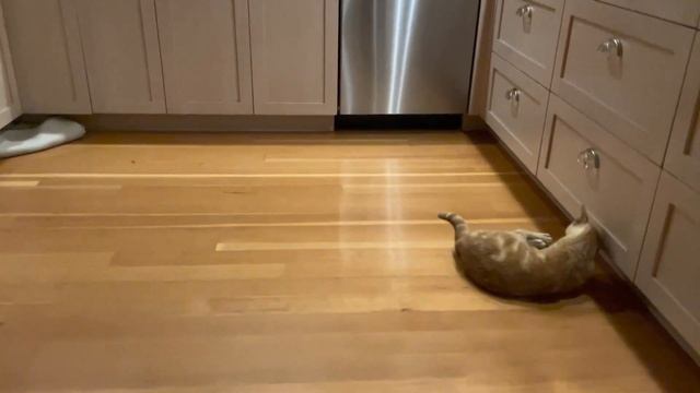 An early morning game смотреть онлайн