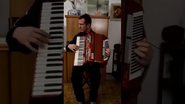 Gloria Gaynor - Can't Take My Eyes Off You - Accordion Cover By Paul Arrangement