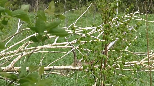 Таинственные места и аномальные зоны которых нет на картах. смотреть онлайн