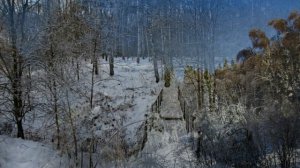 Брошенная тропинка. Лаптево, Шишкино. 30.11.22г