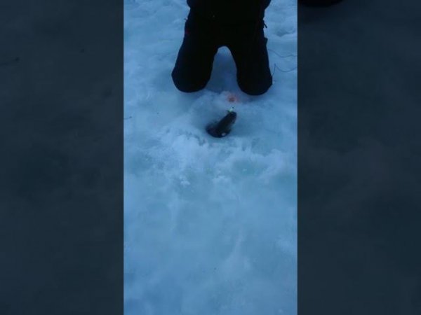 На резину в полводы