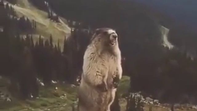 으아아아아아아아악 смотреть онлайн