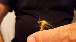 Енисейский Gammarus хариус не устоит!