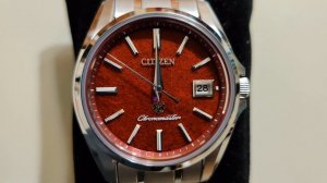 The Citizen Chronomaster AQ4020-54Z