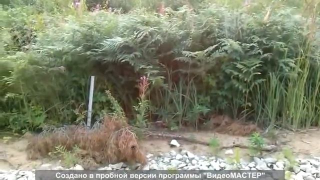 Дорога в Лиласте - в никуда. #2 смотреть онлайн