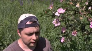 Ошибки. Установка насоса в скважину своими руками. Попал на деньги