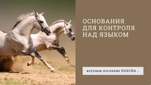 Иакова 3:1-12. Основания для контроля над языком | Андрей Вовк | Слово Истины