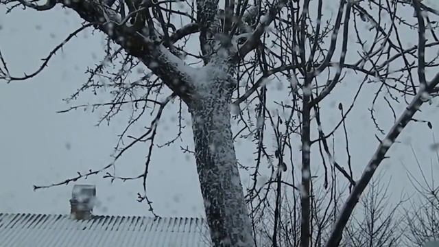 Футаж для відеомонтажа. Зима, вид за вікном ~ Winter, view outside the window смотреть онлайн