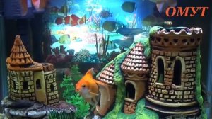 185. Заговор - молитва о сохранении дочери. И Ваши комменты.