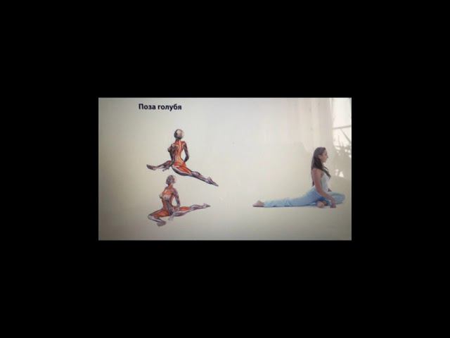 Ровная осанка. смотреть онлайн