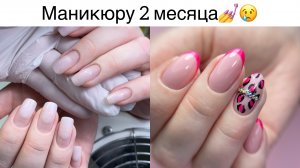 Маникюру 2 месяца ?? как нарисовать френч и принт леопарда ??