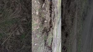 Вагонный домкрат вырывает трубу!