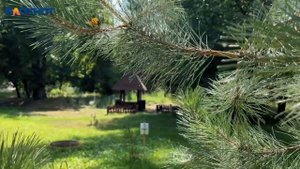Парк-отель «Пересвет» - эко-сказка в 20 км от Волгограда, в которую хочется вернуться