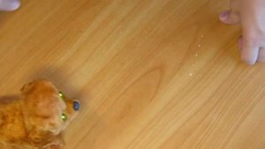 #183 РАСПАКОВКА Игрушка Собачка (ходит и лает)