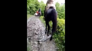 Конные прогулки Сочи Адлер цены и маршруты Тел   9 989 089 80 81