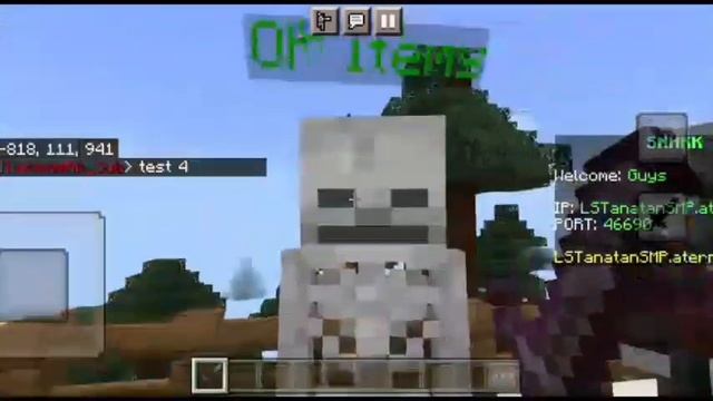 OP Best Lifesteal SMP 24/7 ONLINE | JAVA+BE| ALL VERSIONS SUPPORT ? смотреть онлайн