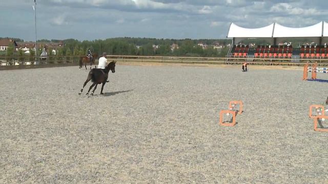 Презентация турнирной лошади Лекрия 2006 конкур for sale смотреть онлайн