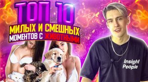 ТОП 10 СМЕШНЫХ И МИЛЫХ ВИДЕО С ЖИВОТНЫМИ!