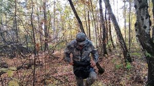 Где в лесу найти туалет