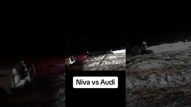 Батл Нива Vs Audi A4 1.9 TDI