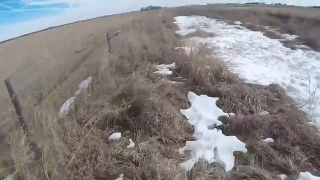 Охота по утке с ястребом-тетеревятником смотреть онлайн