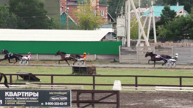 20.08.2022г.Абакан Групповой заезд Рысистых пород старшего возраста 1600м