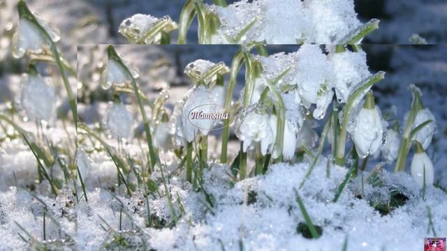 Капала капель,капала-поёт Любовь Кузнецова