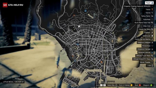 Мозаика с обезьяной 33  GTA 5