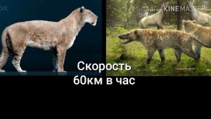 Американский лев против Гиенодона!Кто кого?
