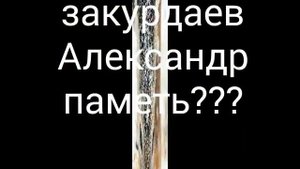 Закурдаев Александр. Память???